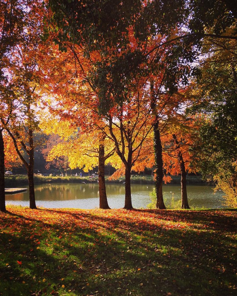 Le Parc Raymond Vignes Et Son Lac Ville De Saint Palais Sur Mer